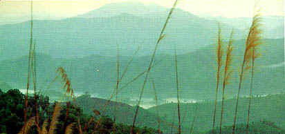 loading picture