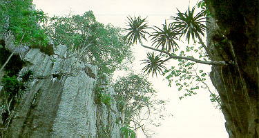 loading picture