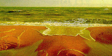loading picture
