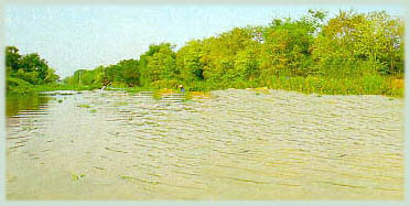 loading picture